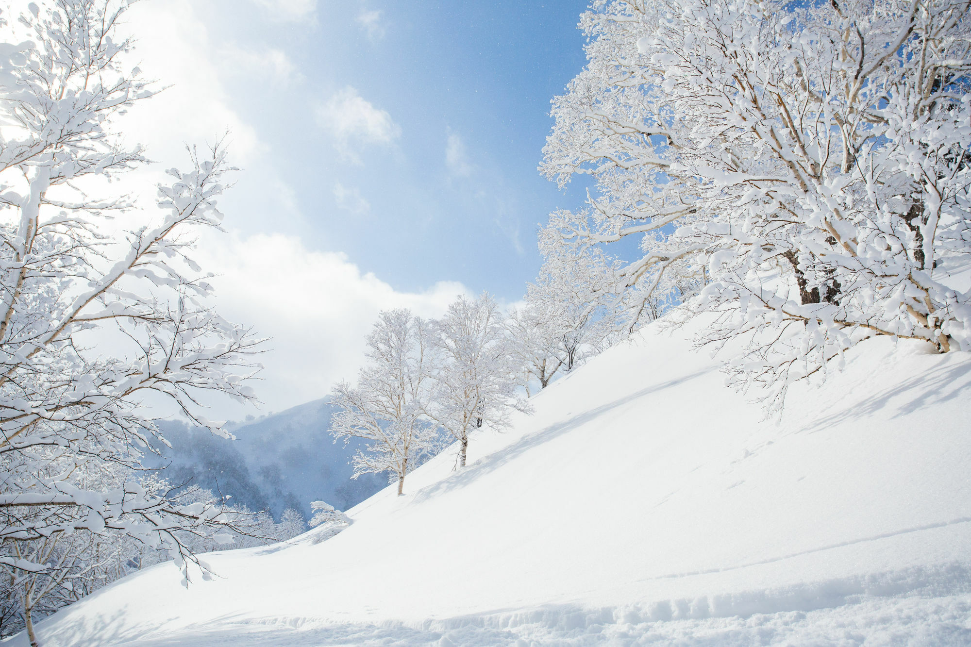 Pension Alice Niseko Dış mekan fotoğraf